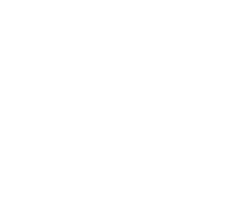 dashwhite2