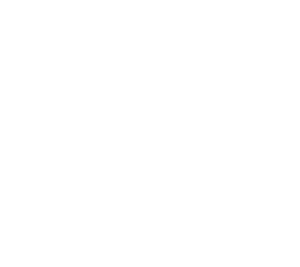 dashwhite2