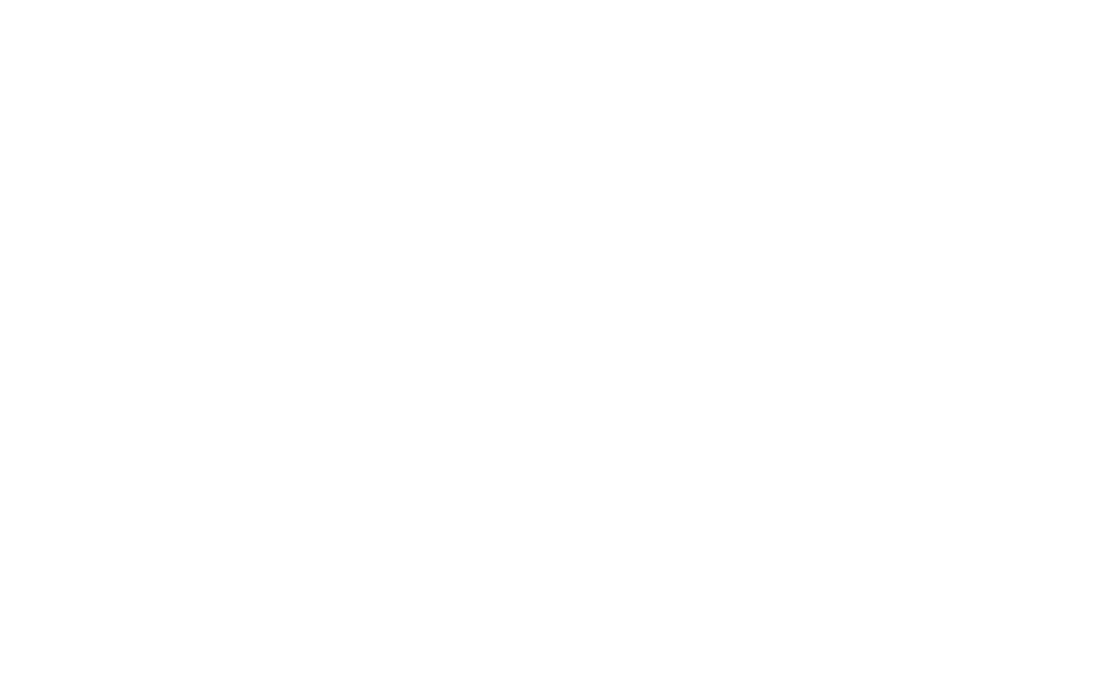 logo1