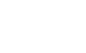 logo1