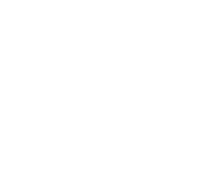 hi spiritswhite