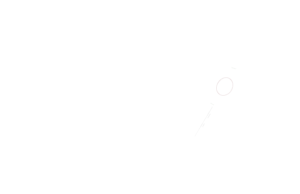 paragon brands logowhite