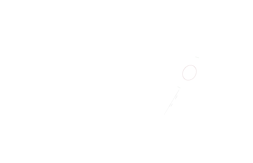 paragon brands logowhite