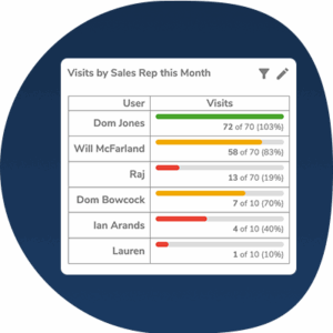 Bowimi KPI Dashboard showing visits by sales rep per month